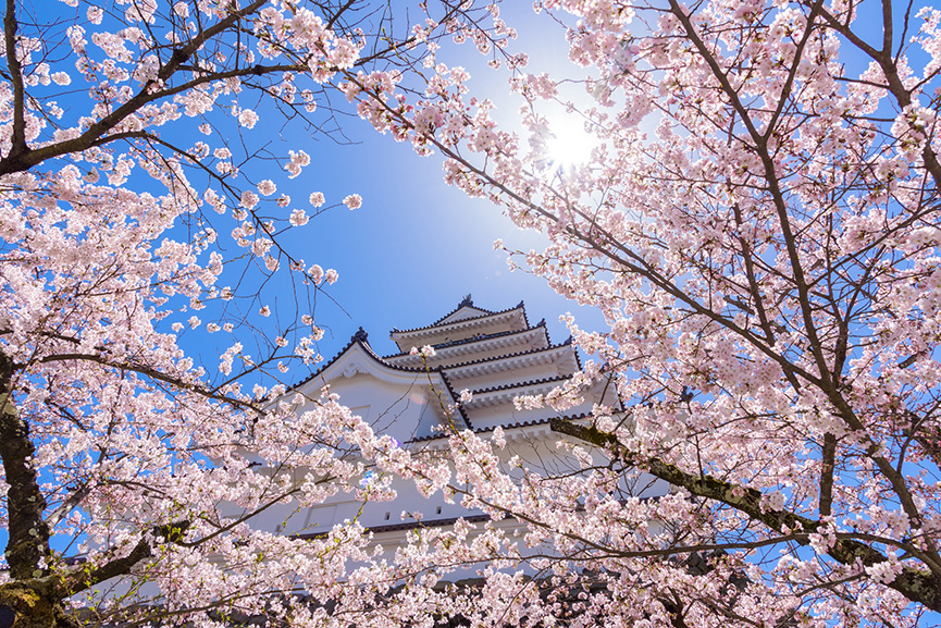 Aizu Wakamatsu Tsuruga Castle